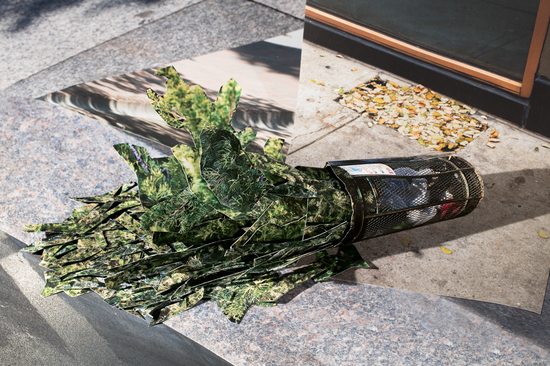 Post-Christmas Melancholy, 节后综合症, 2017 20 x 30 in. (50.8 x 76.2 cm) Digital inkjet print on fine art archival paper 收藏级数码微喷