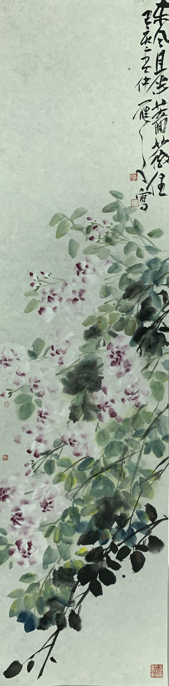 作品名称:《东风且半蔷薇住》