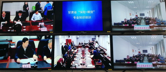 「777官网是什么」专题|课程,让教育自然发生——济南市纬二路小学课程一体化探索