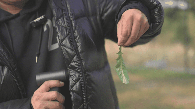千元非常規對標萬元極地防寒標準,抗凍力殺瘋_新浪眾測