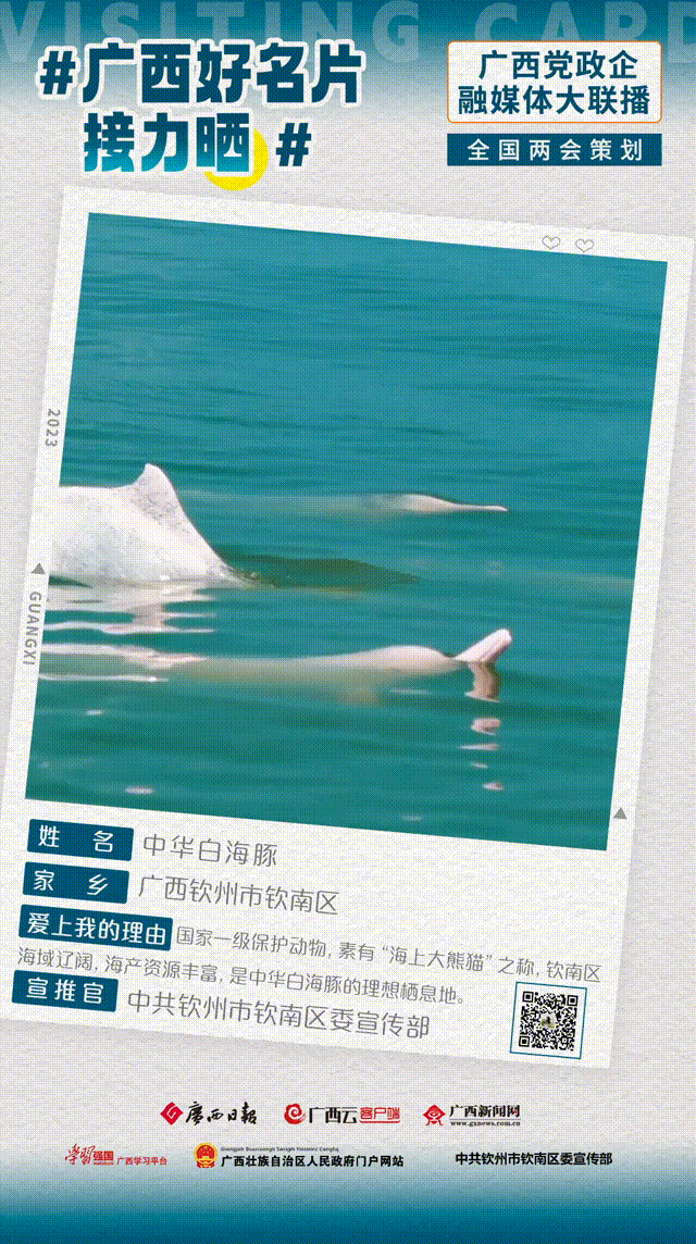 广西好名片接力晒④丨广西的美，还有这么多面！