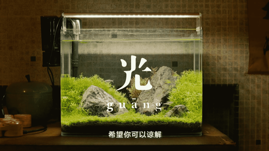 定档预告视频封面