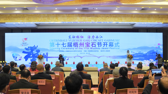 第十七届梧州宝石节开幕式现场 韦婕/摄