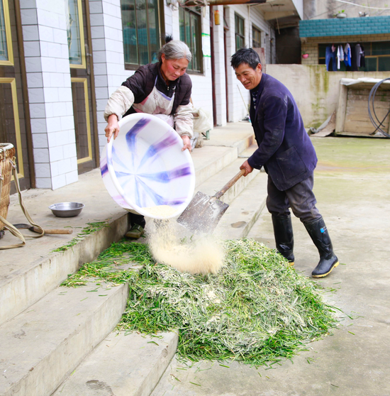 汪家芳夫妇正在准备草料