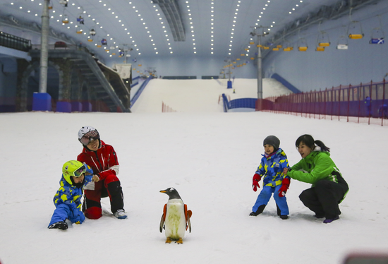 网红“逃学企鹅”体验全球最大室内滑雪场