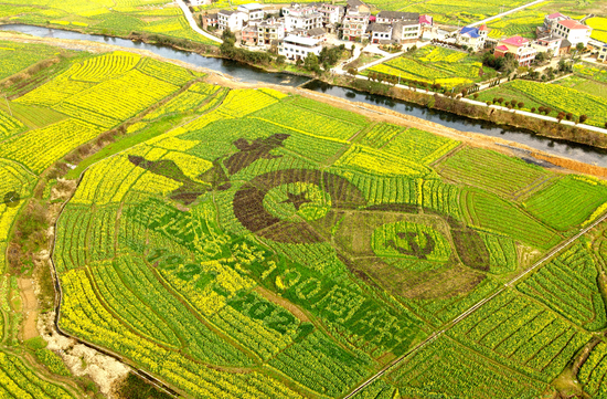 双峰县油菜花一景(李建新 供图)