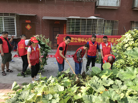 修剪绿化带植被