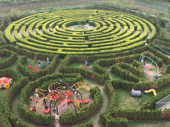 梦幻迷宫创造两项世界吉尼斯世界纪录