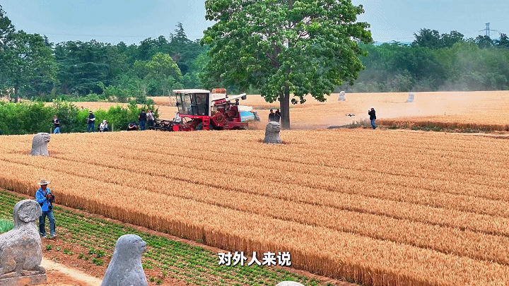 何以中国丨田地里的“博物馆”