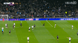 各赛事四场不胜！热刺1-2富勒姆 泰特、威尔逊2分钟2球库杜斯建功