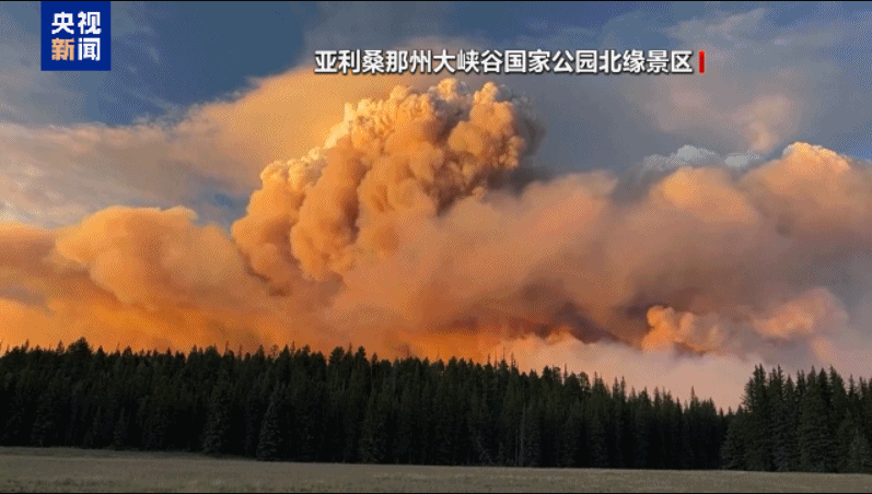 美国亚利桑那州特大火灾级别山火肆虐 仅11%火势被控制