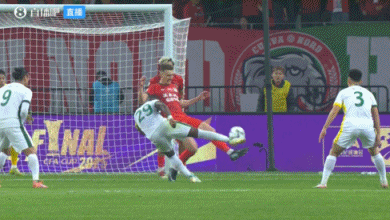 第5次问鼎！国安3-0河南夺足协杯冠军 法比奥戴帽国安获亚冠资格