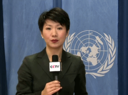 2014年，驻站期间在联合国日内瓦办事处报道叙利亚和谈第二轮谈判。