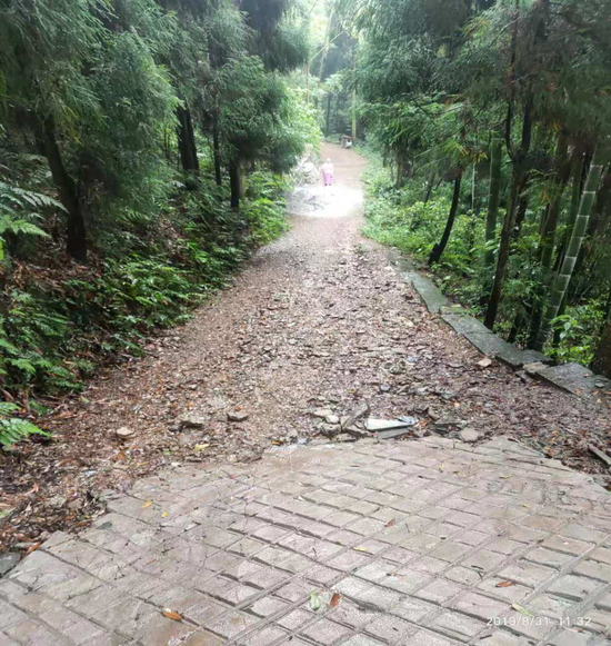 点卡赌场_18岁少女当街流产不知自己怀孕:以为是月经