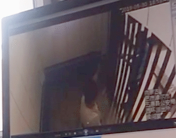 新京报记者独家获取的一段疑似警方监控视频显示，9秒内张关利两次撞击墙体，身着警服男子其身旁。新京报记者 王瑞文 实习生&nbsp;张祁锴 制图