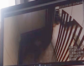  新京报记者独家获取的一段疑似监控视频显示，张关利两次撞击墙体后倒地，身着警服的男子叫来同事，三人蹲在地上查看。新京报记者 王瑞文 实习生&nbsp;张祁锴 制图