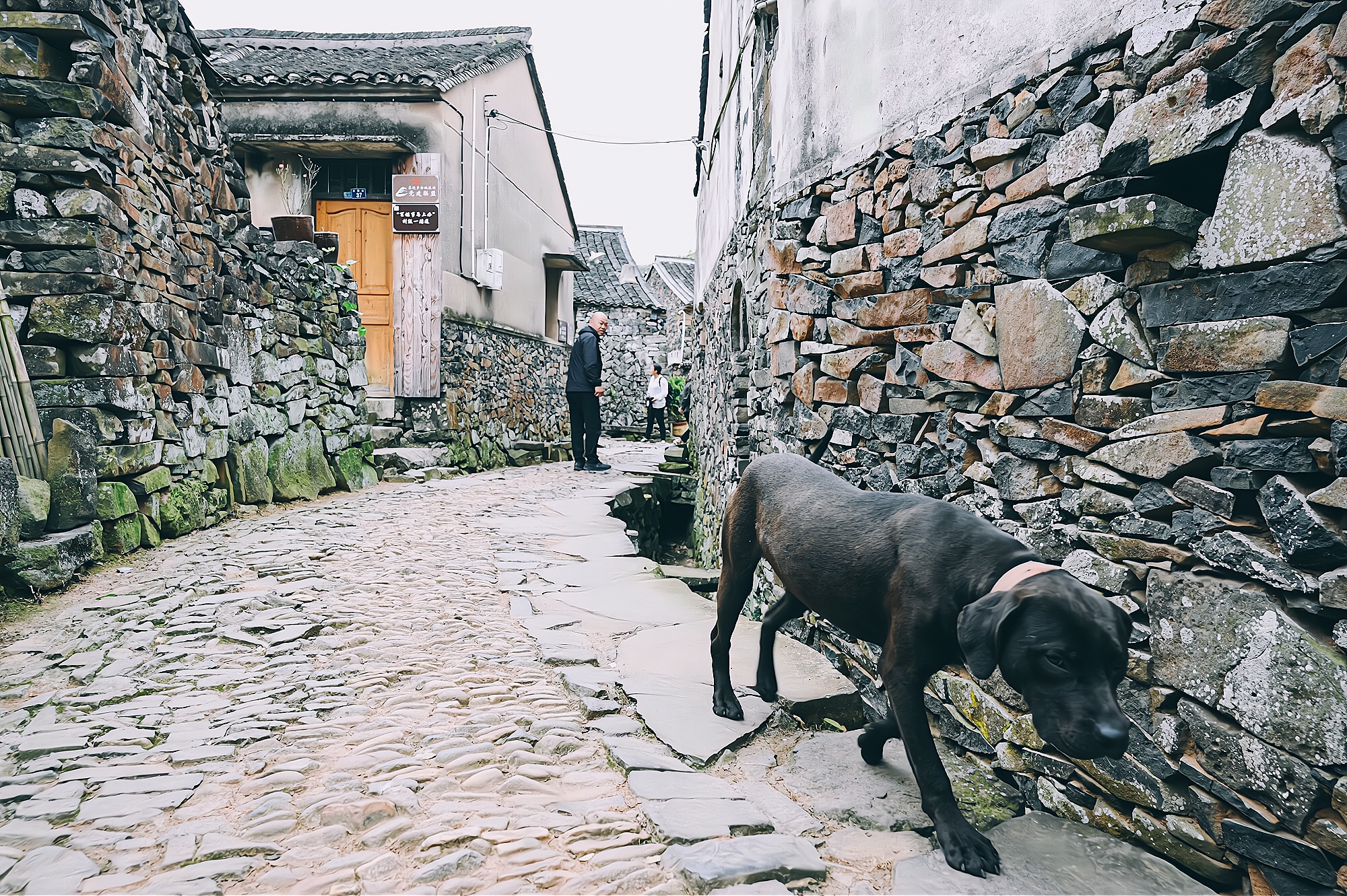 宁波藏着一座原始的石头村，至今已700多年历史