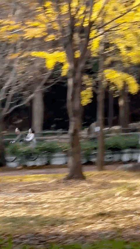 整理一些<a href=