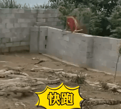 男孩子在外面要懂得保护好自己!(第311期)