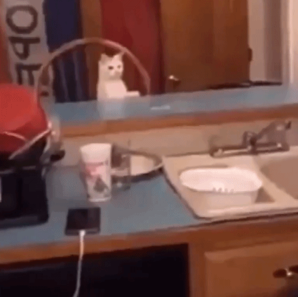 自动开启捉迷藏模式