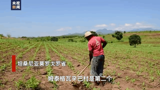 亲,记得好评丨田间地头到跨境物流,China服务安排上了