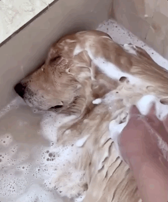 图自@表演过度鉴赏