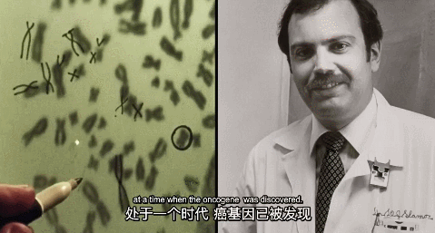 豆瓣9.3,救命片,没时间也要看! 豆瓣9.3,救命片,没时间也要看!