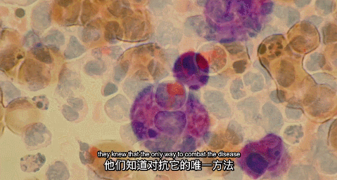 豆瓣9.3,救命片,没时间也要看! 豆瓣9.3,救命片,没时间也要看!
