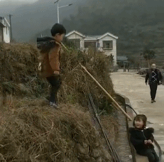 每日有趣gif图片发现一只小羊肖恩