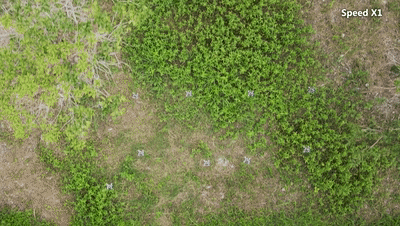 科研团队在湖州安吉的竹林间进行微型智能空中机器人飞行测试
