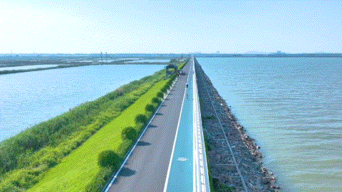 ▲资料图来源\广州南沙发布