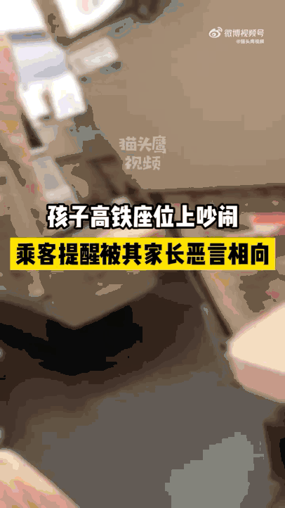 热闻"熊孩子"大闹高铁上热搜,网友:背后的"熊家长"更可怕|熊孩子