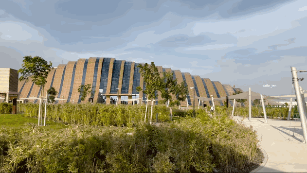 豪尔动物园 | 图源：YouTube