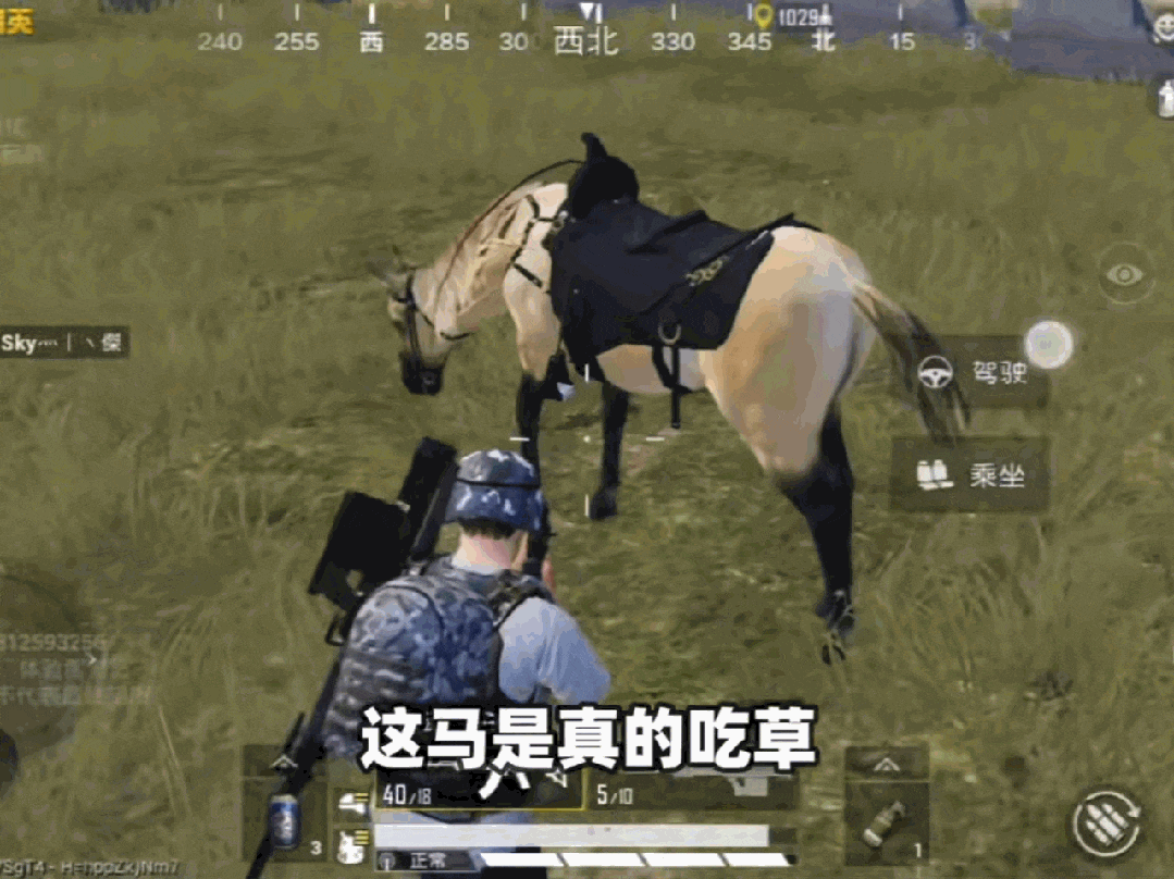 图源:抖音@粤鱼
