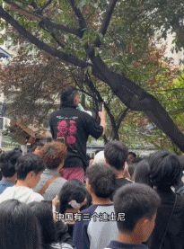 成都迪士尼|图源:抖音用户「伤心破忒头」视频截图