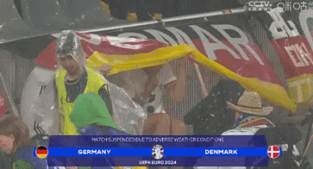 德国队比赛中断25分钟！发生了什么？