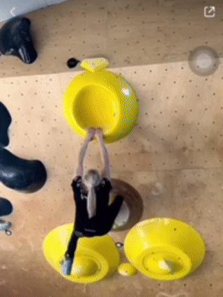 〓 图片来源：Janja ins