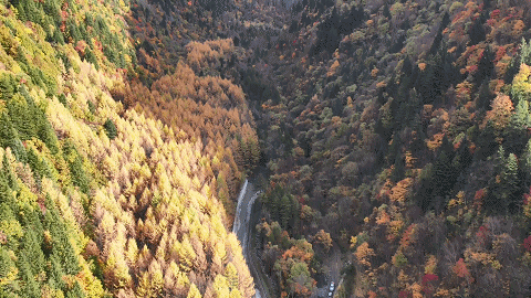 川青铁路沿线美丽风光。费思童 摄