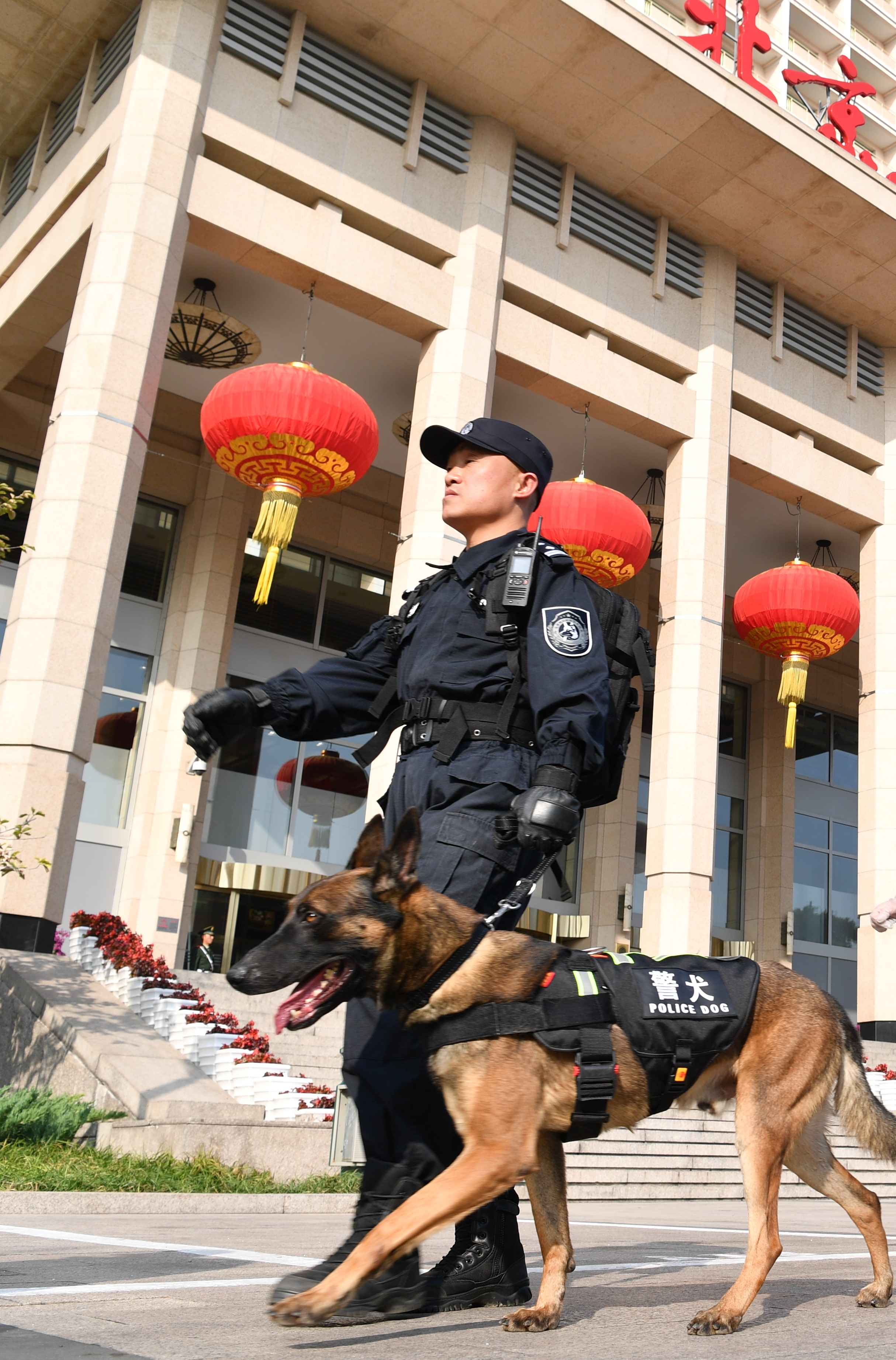 劉鳳義帶犬執行保安任務。受訪者供圖