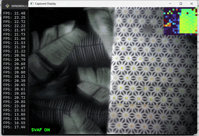 录像动图｜实时全场景动态对焦（来源：https://imaging.cs.cmu.edu/svaf）