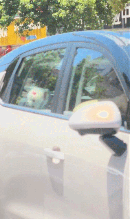 孟子义结束拍摄后为等候粉丝送周边并驾车离开