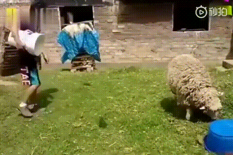 ȺСɰɶ ͼ ⳵һŮ˾