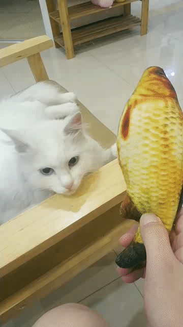 漣ʨգ ͼ ˹;