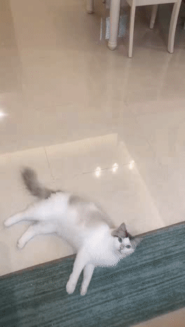 漣ʨգ ͼ ˹;