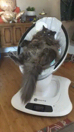 ˵ʵǻǺûѣ ͼ ֻԺϣ