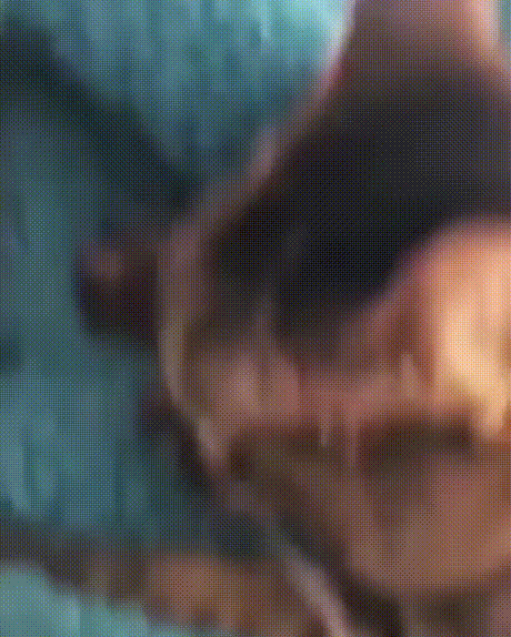 Ůһгʦھͼ˶ ͼ ٹ