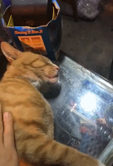 ͦ˼Ҳ ͼ ϰгô