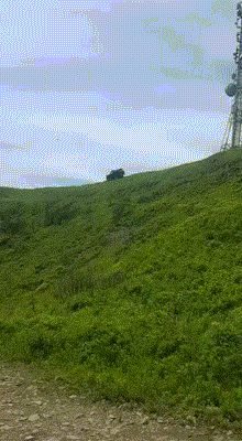 ̫Ůо ͼ Ѱ˼ַҲ̫