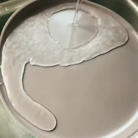 šҵǶֶѰ
