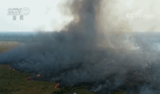 亚马孙大火仍在多片区域肆虐：火势未见明显缓解